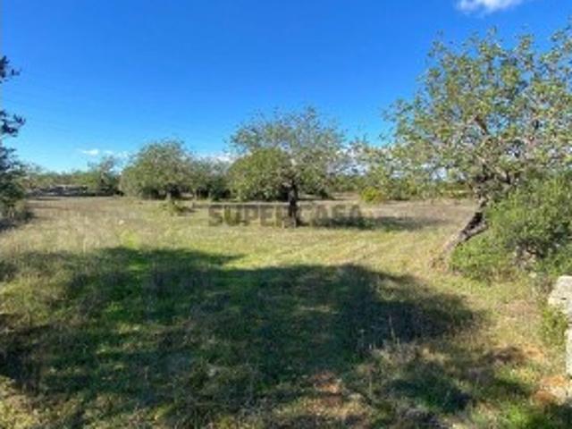 Terreno venda em Cova da Muda, São Brás De Alportel