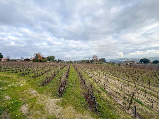 Terreno venda em Viseu