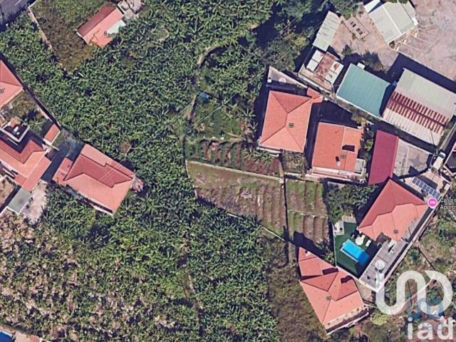 Terreno venda em Funchal, Ilha Da Madeira