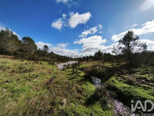 Terreno venda em Roncão, São Miguel Do Pinheiro