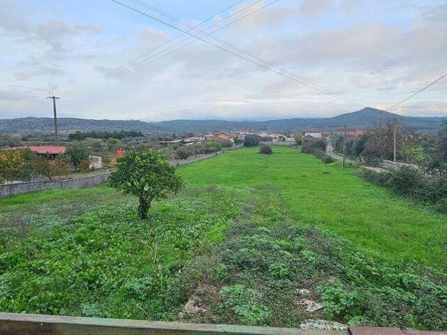Terreno venda em Penela, Coimbra