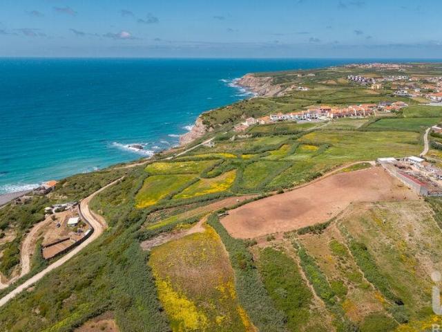 Terreno venda em Assenta, Torres Vedras