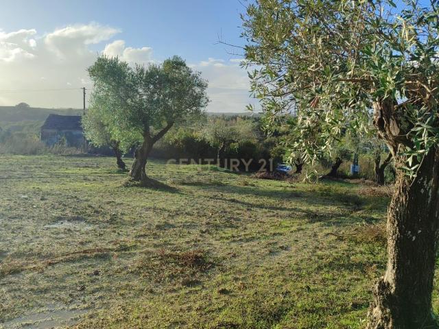 Terreno venda em Santarém