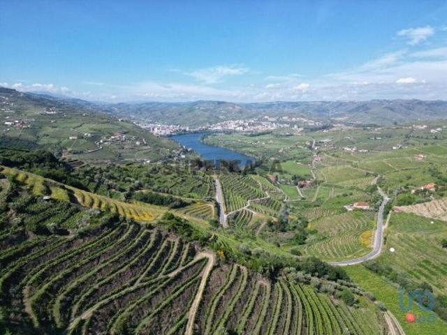 Terreno venda em Lamego, Viseu
