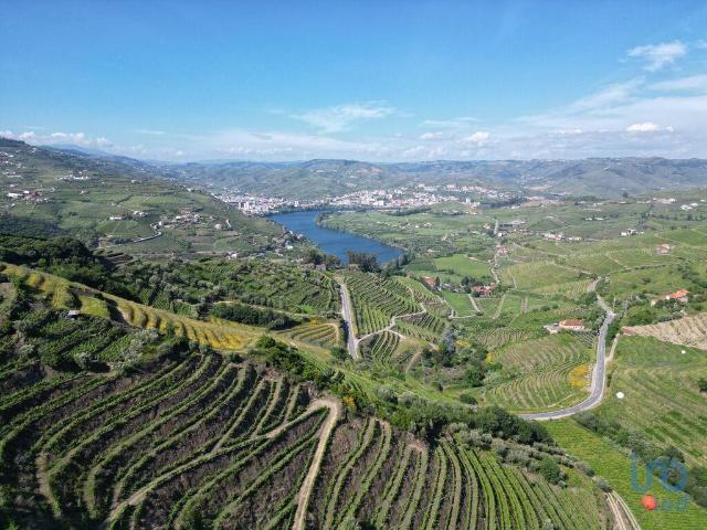 Terreno venda em Lamego, Viseu