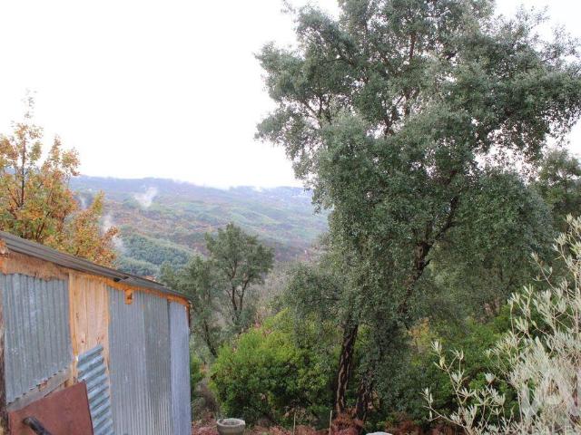 Terreno venda em Guarda, Seia