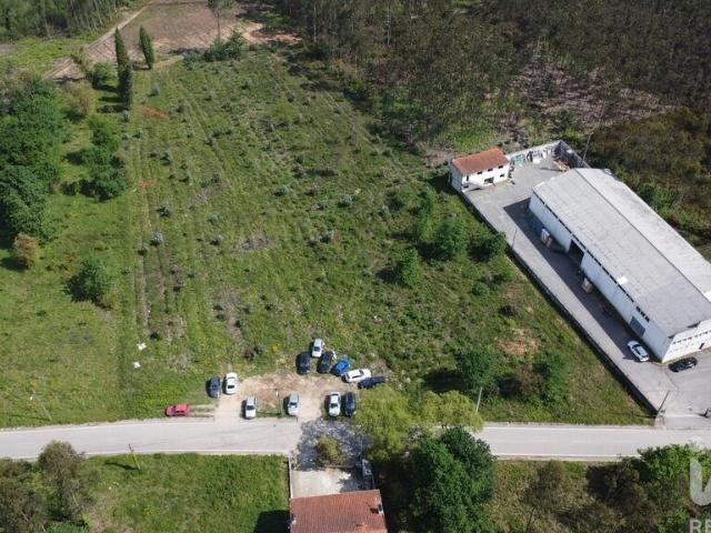 Terreno venda em São João da Azenha, Anadia