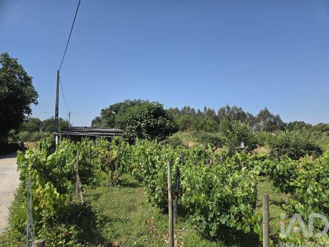 Terreno venda em Couto Do Mosteiro, Viseu