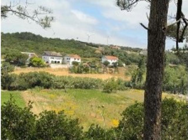Terreno venda em Santo Isidoro, Mafra