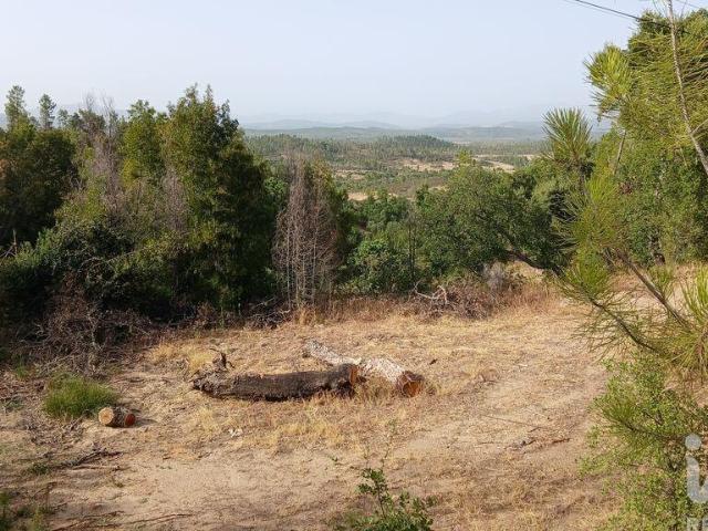 Terreno venda em Castelo Branco