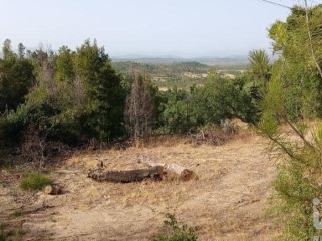 Terreno venda em Castelo Branco