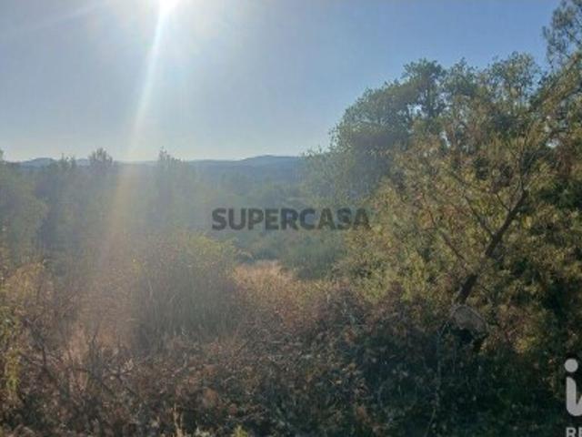 Terreno venda em Castelo Branco