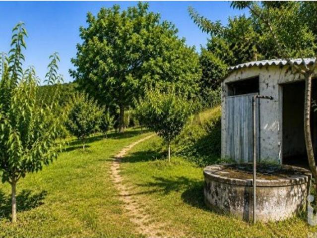Terreno venda em Póvoa da Barbeira, Seixo da Beira