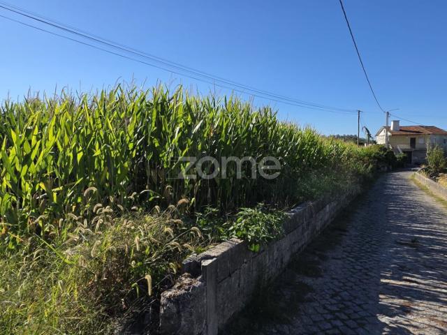 Terreno venda em Sequeade e Bastuço (São João e Santo Estêvão), Barcelos