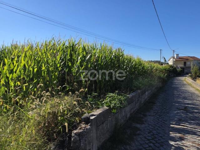 Terreno venda em Sequeade e Bastuço (São João e Santo Estêvão), Barcelos