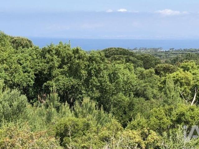 Terreno venda em Sesimbra (Castelo), Sesimbra
