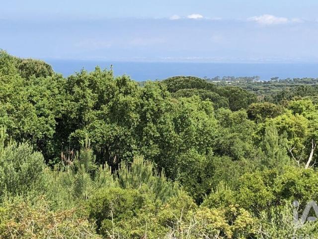 Terreno venda em Sesimbra (Castelo), Sesimbra