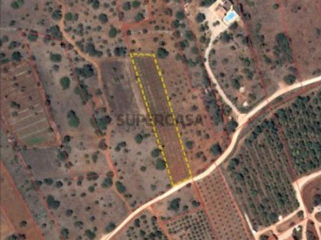 Terreno venda em Alcantarilha-Gare, Alcantarilha