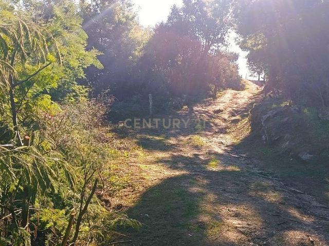 Terreno venda em Tortola, Baião