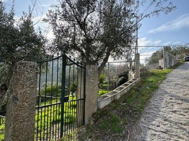 Terreno venda em Viseu