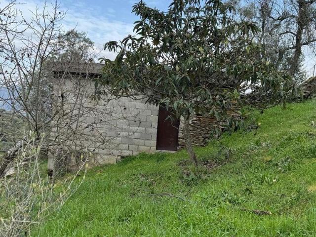 Terreno venda em Viseu