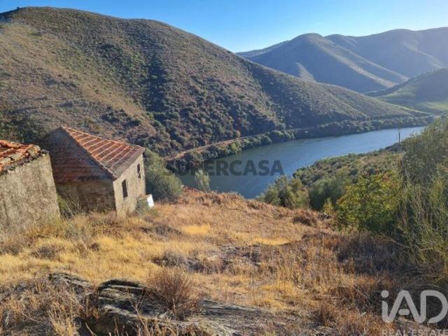 Terreno venda em Torre De Moncorvo, Bragança