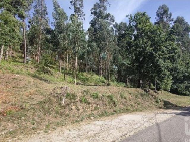 Terreno venda em Valença, Viana Do Castelo