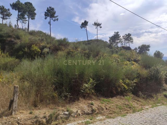 Terreno venda em Baião, Porto