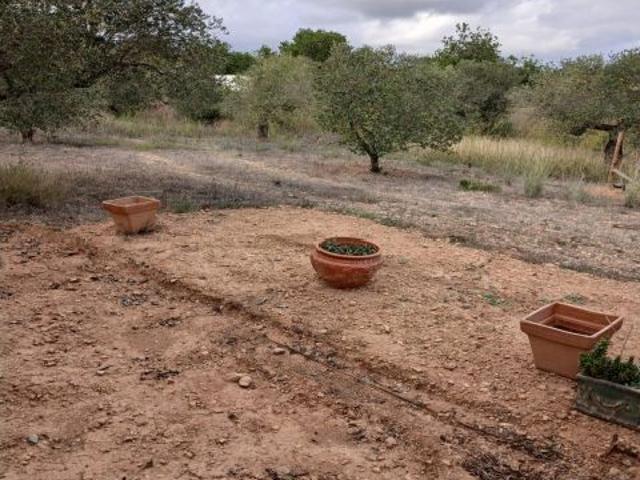 Local Comercial en venta en Baix Camp, Catalunya