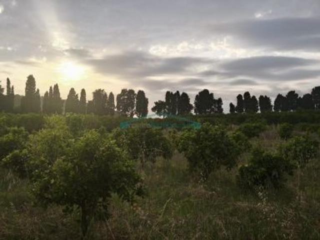 Local Comercial en venta en Barri del Clavell, la Ribera Baixa