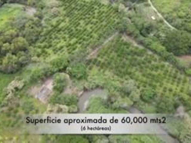Terreno en venta en Morelos