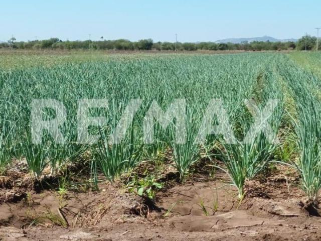 Quinta en venta en Hermosillo, Sonora