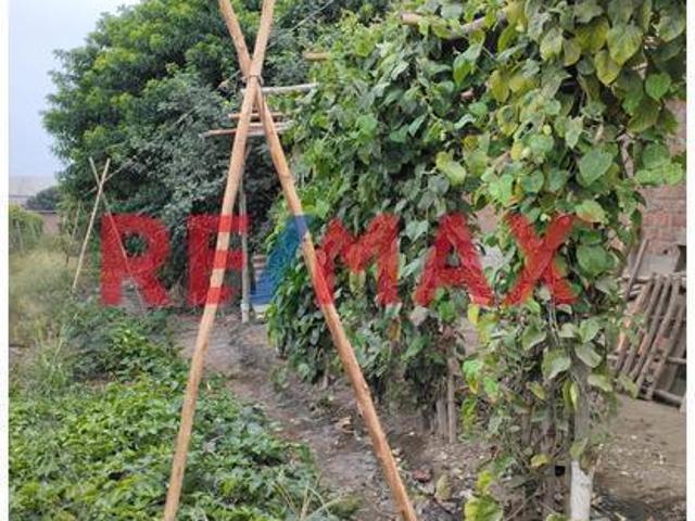 Terreno venta en Supe, Lima Metropolitana