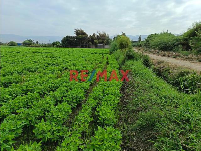 Terreno venta en Camana, Arequipa