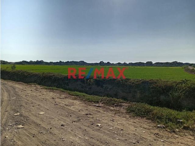 Terreno venta en Lambayeque