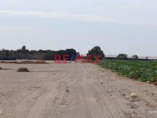 Terreno venta en San Andres, Ica