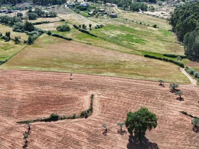 Quinta venda em Castelo Branco, Aldeia Nova Do Cabo