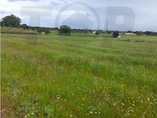 Terreno venda em Benavente, Santarém
