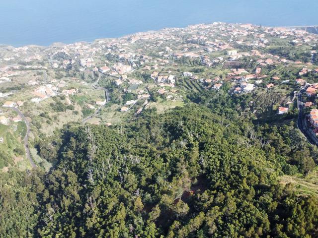 Terreno venda em Santa Cruz, Ilha Da Madeira
