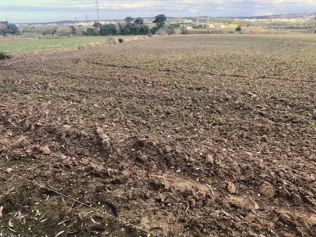 Terreno venda em Bufarda, Peniche