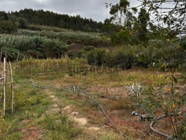 Terreno venda em Lourinhã, Lisboa