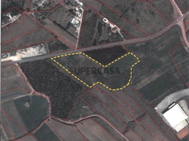 Terreno venda em Lourinhã, Lisboa