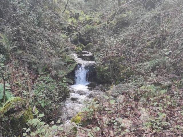 Terreno venda em Covas, Braga