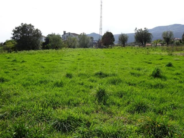 Terreno venda em Escusa, Boalhosa