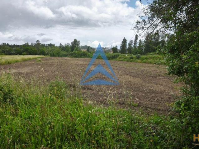 Terreno venda em Pombal, Leiria