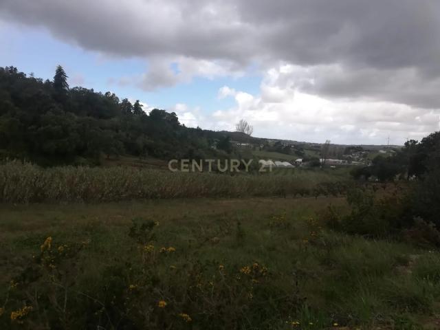 Terreno venda em Mafra, Lisboa