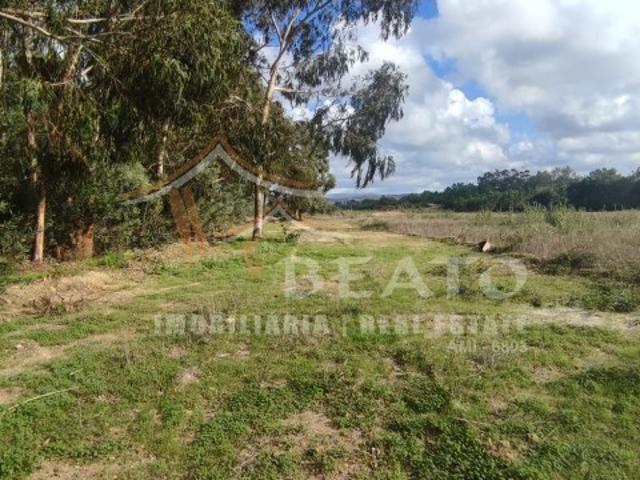 Terreno venda em Maria Vinagre, Aljezur