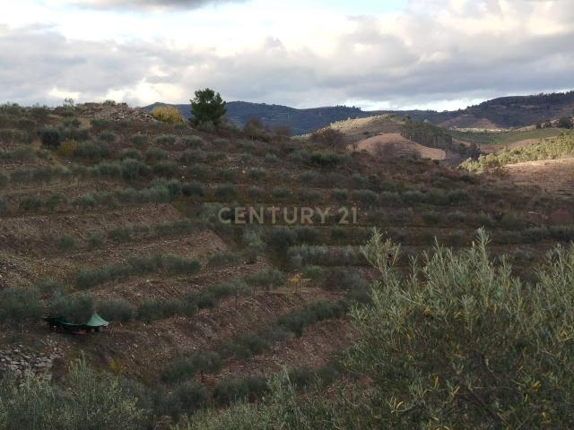 Terreno venda em Mirandela, Bragança