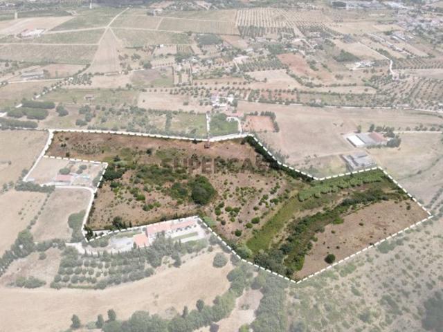 Terreno venda em Cartaxo e Vale da Pinta, Cartaxo