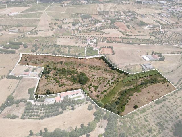 Terreno venda em Cartaxo e Vale da Pinta, Cartaxo